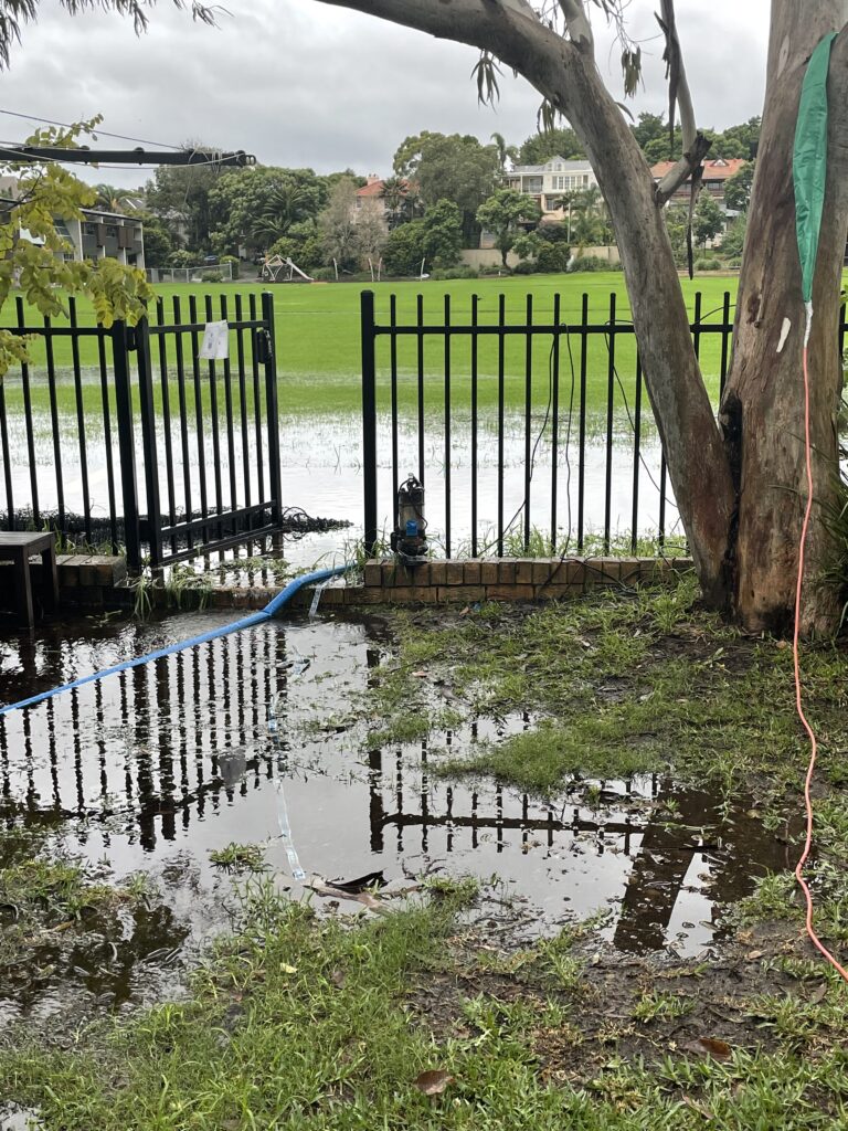 Flooded backyard with standing water from a plumbing problem