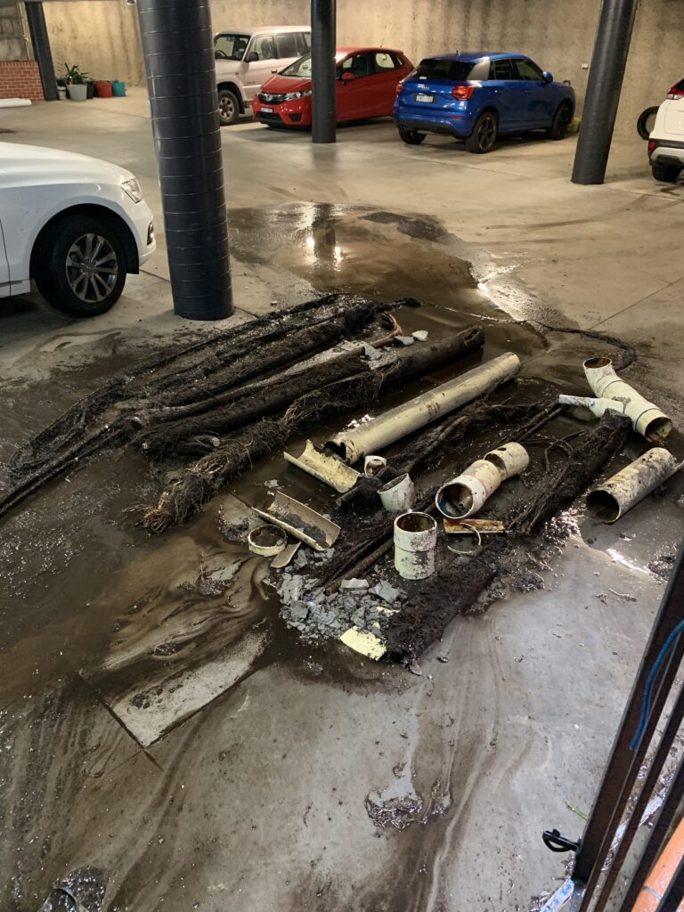 What the Mint Plumbing team found after completing a job